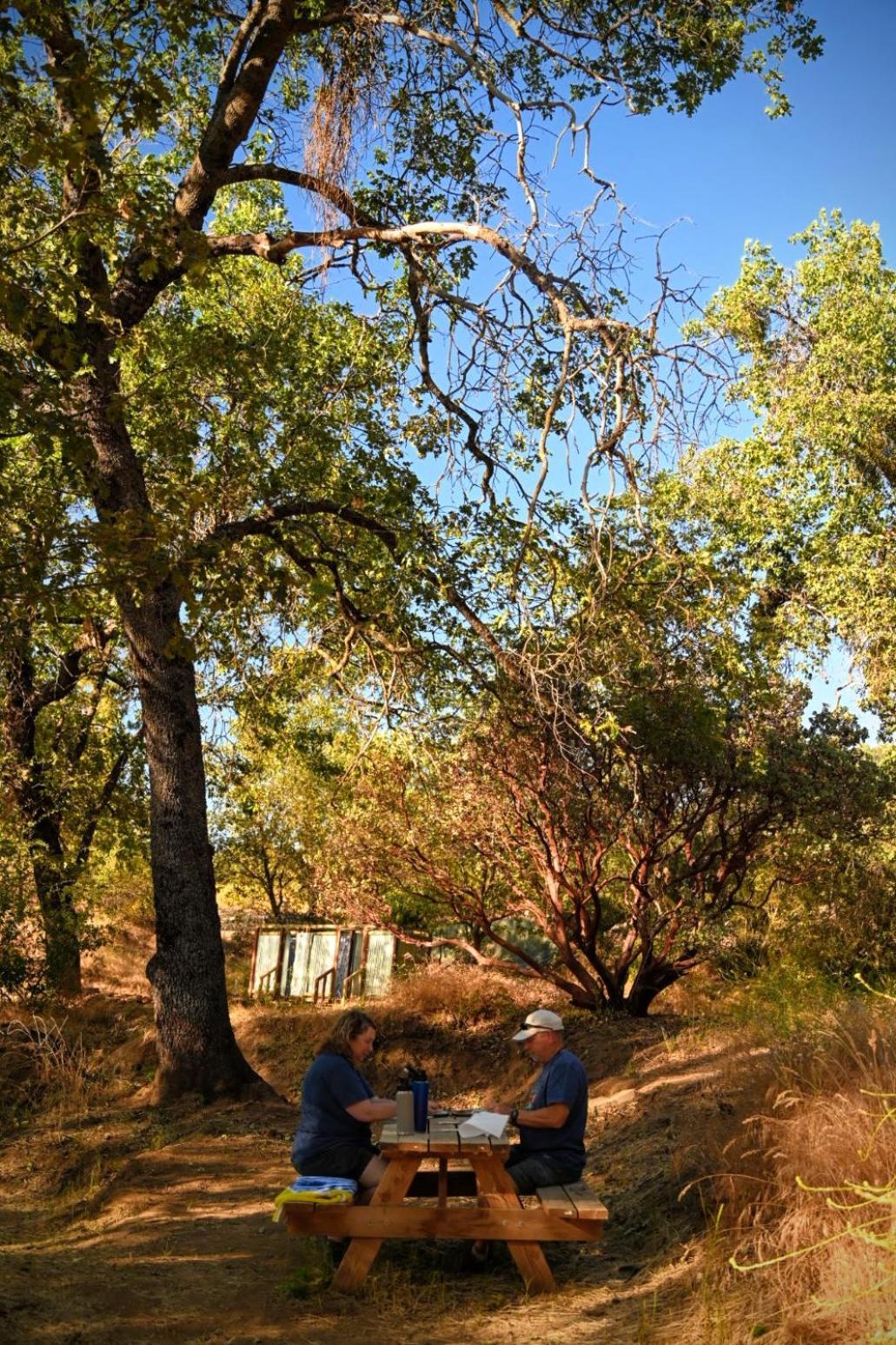 Campground At Sequoia Mountain Farms - Bring Your Own Tent Or Rv - No Bedrooms Or Beds Provided Miramonte Bagian luar foto
